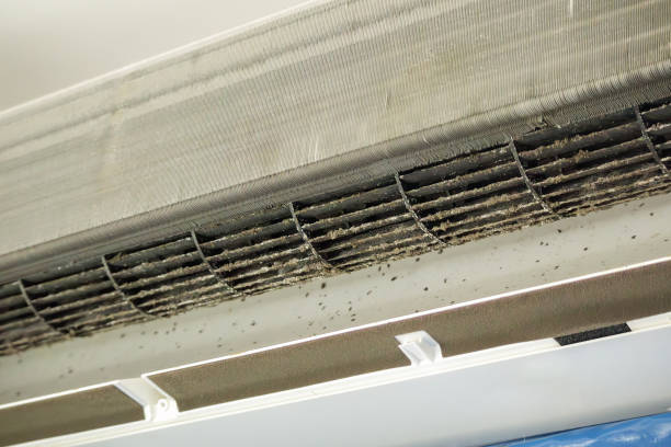 Best Residential Air Duct Cleaning  in Grant City, MO